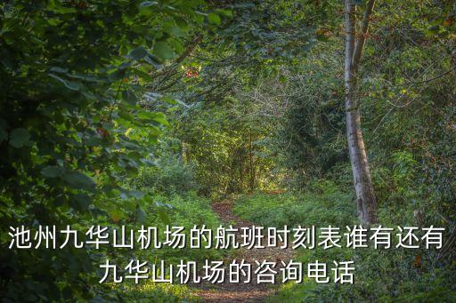 池州九華山機(jī)場的航班時(shí)刻表誰有還有九華山機(jī)場的咨詢電話