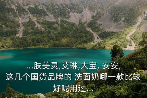 ...膚美靈,艾琳,大寶, 安安,這幾個國貨品牌的 洗面奶哪一款比較好呢用過...