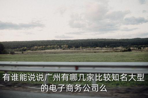 有誰(shuí)能說(shuō)說(shuō)廣州有哪幾家比較知名大型的電子商務(wù)公司么
