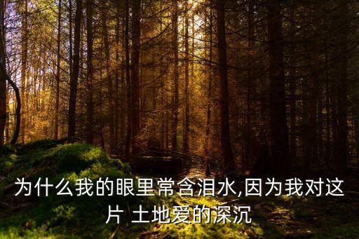 我愛這土地原文,艾青詩歌我愛這土地原文