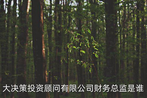 大決策投資顧問有限公司財務總監是誰