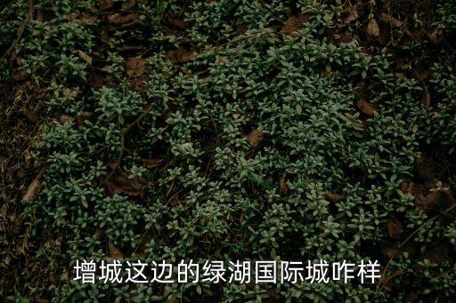 增城這邊的綠湖國際城咋樣