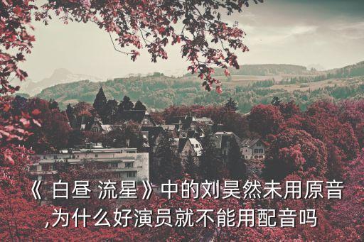《 白晝 流星》中的劉昊然未用原音,為什么好演員就不能用配音嗎