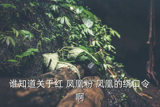 粉紅墻上畫鳳凰,鳳凰墻上繪畫粉紅墻外觀音山觀音堂