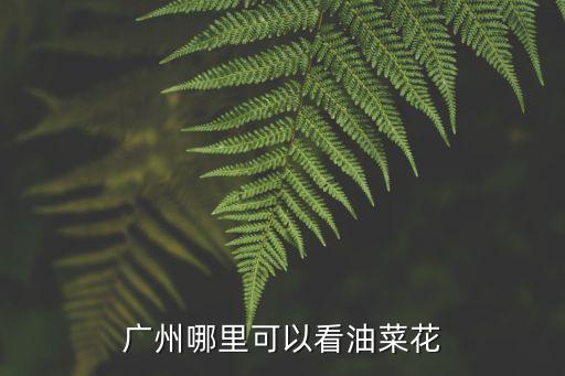 廣州那里有油菜花看，廣東哪里可以觀看油菜花花期是什么時候怎么去我在廣州的求