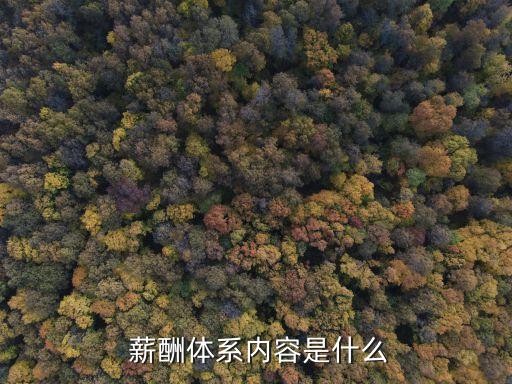 薪酬制度,薪酬制度是企業人力資源管理制度的重要組成部分