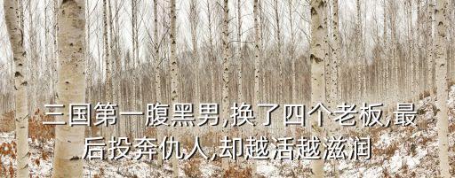 三國賈詡,三國時(shí)期的毒士賈詡是怎么一回事?