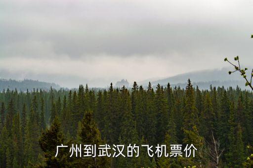 廣州到武漢的飛機票價