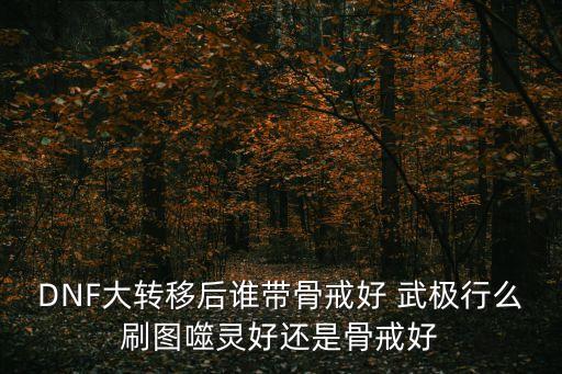 DNF大轉(zhuǎn)移后誰帶骨戒好 武極行么刷圖噬靈好還是骨戒好