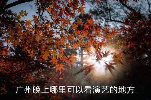 廣州晚上哪里可以看演藝的地方
