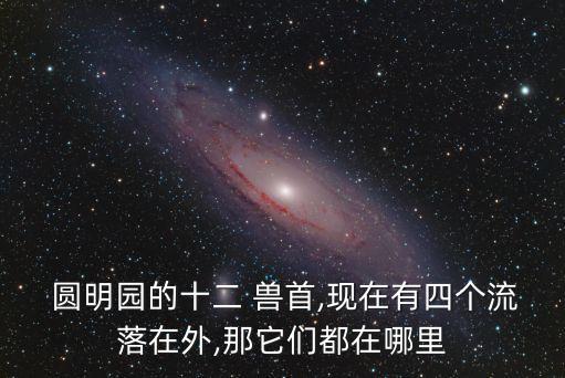  圓明園的十二 獸首,現(xiàn)在有四個流落在外,那它們都在哪里