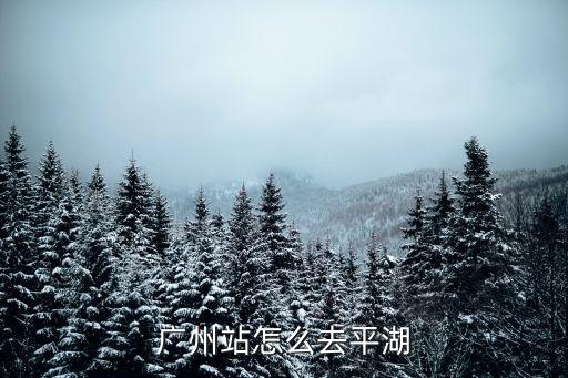 廣州站怎么去平湖