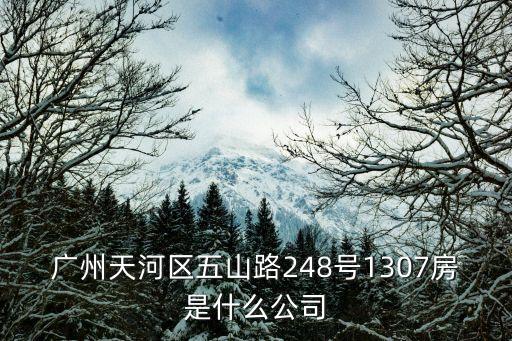 廣州天河區(qū)五山路248號(hào)1307房是什么公司