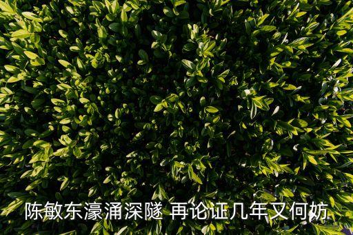 陳敏東濠涌深隧 再論證幾年又何妨