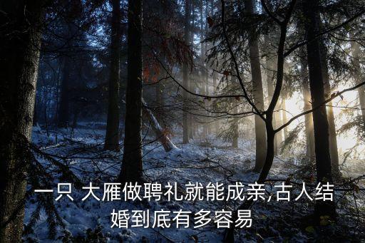 一只大雁