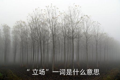 “ 立場”一詞是什么意思