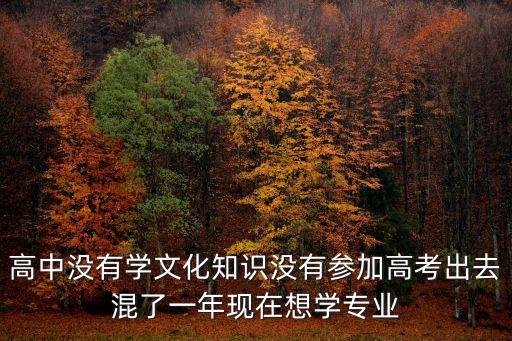 高中沒有學文化知識沒有參加高考出去混了一年現在想學專業