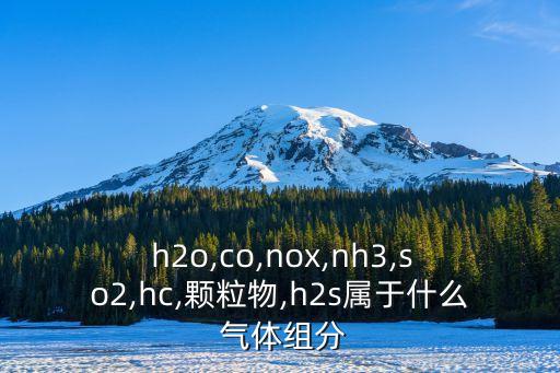 h2o是什么氣體