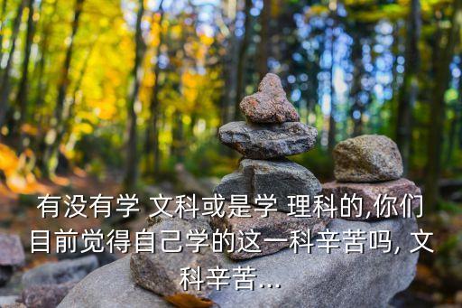 有沒有學 文科或是學 理科的,你們目前覺得自己學的這一科辛苦嗎, 文科辛苦...