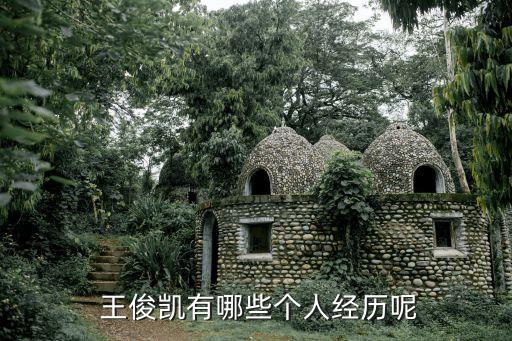 重慶八中王俊凱