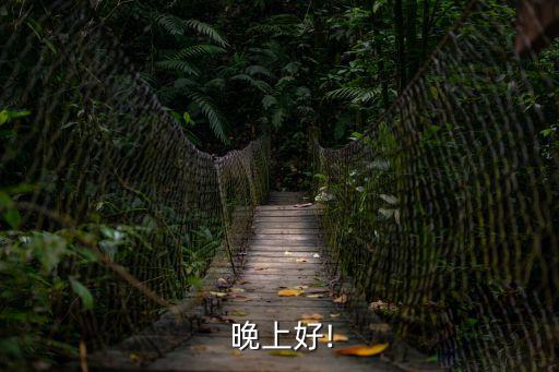  晚上好!