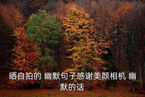 曬自拍的 幽默句子感謝美顏相機(jī) 幽默的話
