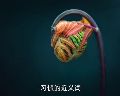 習慣的近義詞