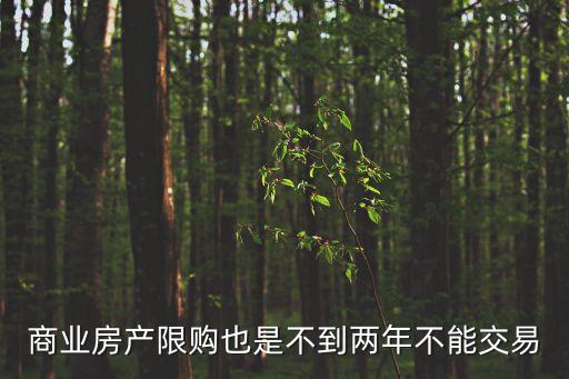 商業房產限購也是不到兩年不能交易