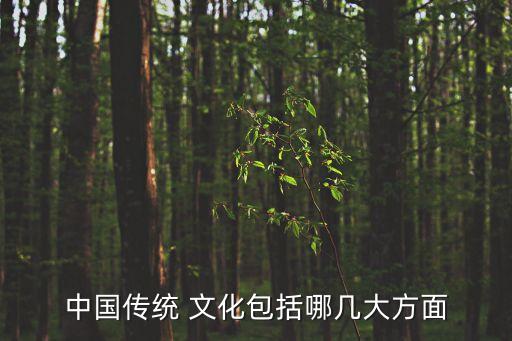 中國傳統 文化包括哪幾大方面