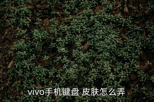 個性皮膚,怎樣在qq設置個性皮膚?步驟3