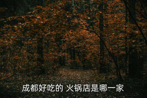 成都好吃的 火鍋店是哪一家