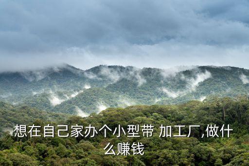 想在自己家辦個小型帶 加工廠,做什么賺錢
