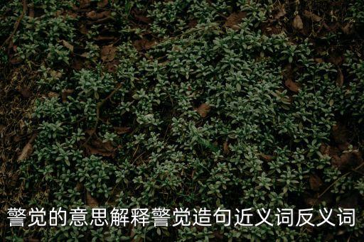 警覺的意思解釋警覺造句近義詞反義詞