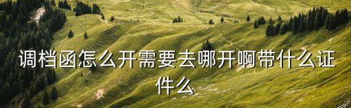  調檔函怎么開需要去哪開啊帶什么證件么