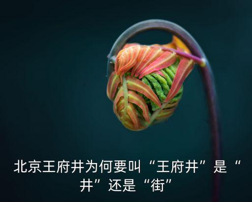  北京王府井為何要叫“王府井”是“井”還是“街”