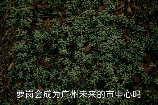 廣州蘿崗未來前景如何，蘿崗有錢人多嗎還是打工的人多經濟發展得如何在那邊有發展嗎