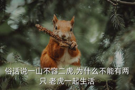 2只老虎,吉他《兩只老虎》怎么彈?