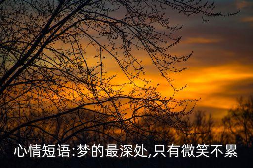 心情短語(yǔ):夢(mèng)的最深處,只有微笑不累