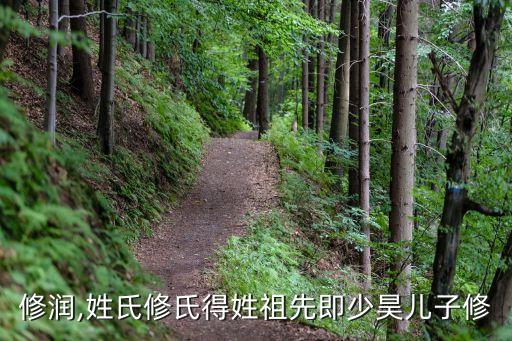 修正修潤,姓氏修氏得姓祖先即少昊兒子修