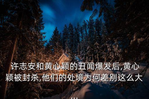  許志安和黃心穎的丑聞爆發(fā)后,黃心穎被封殺,他們的處境為何差別這么大...
