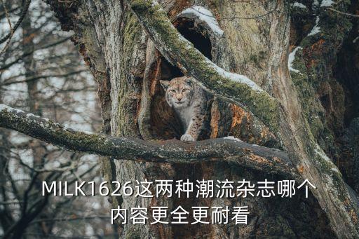 MILK1626這兩種潮流雜志哪個內容更全更耐看