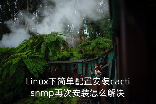 Linux下簡(jiǎn)單配置安裝cactisnmp再次安裝怎么解決