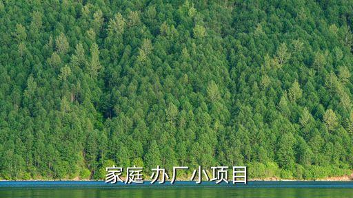 投資辦廠,外國(guó)企業(yè)在華投資辦廠