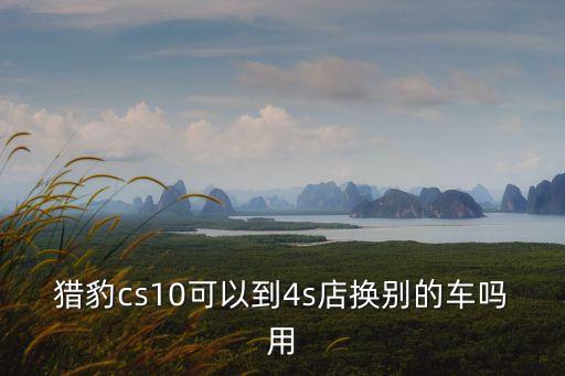 獵豹cs10可以到4s店換別的車嗎用
