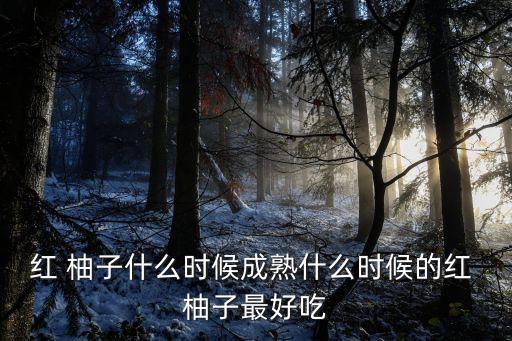 紅柚子