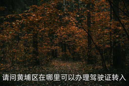 請問黃埔區在哪里可以辦理駕駛證轉入