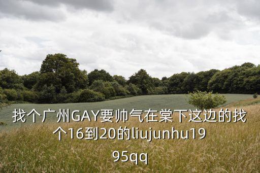 找個廣州GAY要帥氣在棠下這邊的找個16到20的liujunhu1995qq