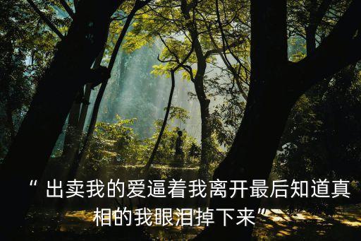 出賣我的愛
