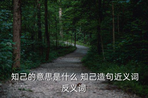 知己