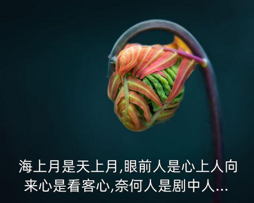  海上月是天上月,眼前人是心上人向來心是看客心,奈何人是劇中人...